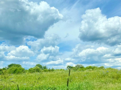 Тамбовчан ожидает жаркая рабочая неделя без дождей