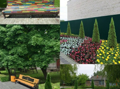 Рулонные газоны, парковые диваны и живая изгородь: три тамбовских сквера будут благоустроены в 2018 году