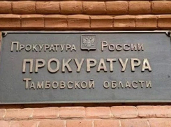 Заведующая детского сада в Тамбовском районе устроила воспитателем «мёртвую душу»