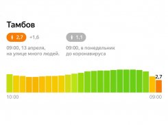 Тамбов по соблюдению режима самоизоляции стал аутсайдером в ЦФО