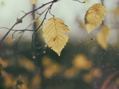 Погода на выходных: переменная облачность и похолодание 