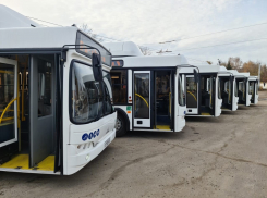 Власти Тамбова продлили пассажирские маршруты трёх автобусов