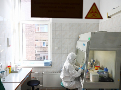 За сутки коронавирусом заболели 44 тамбовчанина