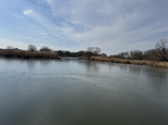 По факту замора рыбы из-за слива канализации в районе села Донское возбуждено уголовное дело 