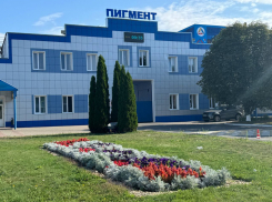 Запах химии в Тамбове связан с выбросами на площадке «Пигмента» и «Квата»