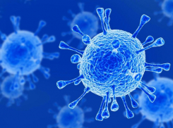 Ещё у 73 жителей Тамбовской области выявлен коронавирус