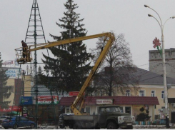 Новогодние ёлки вырастают на главных площадях городов области 
