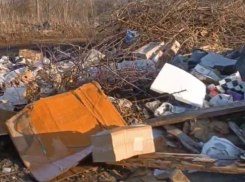 Нелегальная свалка в Дмитриевке разрастается, несмотря на многомиллионный штраф