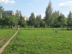 В Строителе на месте парка хотят построить детский сад