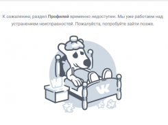 Тамбовчане остались без ВКонтакта