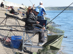 «Донкой» наловят рыбу участники соревнований на Кершенском водохранилище 