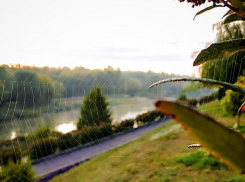 Здесь даже солнца не видно: погода в Тамбове в начале рабочей недели