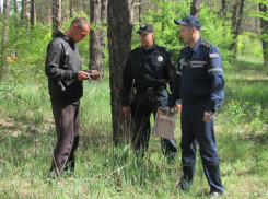 В Парке Дружбы в Тамбове нашли труп мужчины