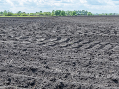 Агрохолдинг погибшего бизнесмена Юрия Хохлова продолжает нести потери