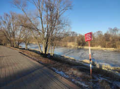 Несмотря на тонкий лёд, рыбаки вышли на Цну