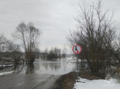В Мичуринском округе у Старой Казинки затопило мост