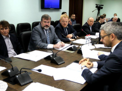 Депутат Тамбовской облдумы предложил снизить налоги для сельхозпроизводителей