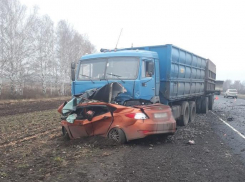 Таинственная связь: еще одна авария с внезапным выездом на встречку произошла под Тамбовом