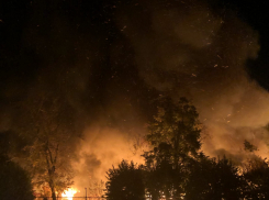 Сегодня ночью в Тамбове на берегу Цны сгорело старое кафе