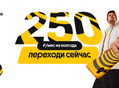 Билайн подключает в Тамбове услуги связи по цене чашки кофе