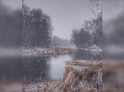 До конца рабочей недели в Тамбове останется сильный ветер и мороз