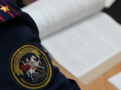 В Мичуринске экс-преподаватель колледжа отправлена под домашний арест за взятки