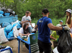 Более ста человек приняли участие в «Чистых играх» в Тамбове 