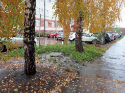 Канализация продолжает омывать прокуратуру Тамбовской области