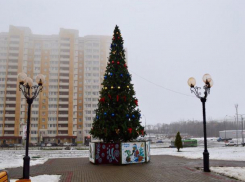 Во Французском сквере засияла разноцветными огнями новогодняя ёлка