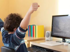 В Тамбове учащиеся 5-8 классов остаются на “дистанционке”