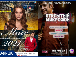 Юмор, коньки и «Мисс Тамбовская область»: афиша выходного дня