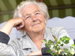 Льготы для людей предпенсионного возраста сохранили депутаты тамбовского заксобрания