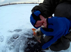 Рыбаков пригласили на Открытый Чемпионат Тамбовской области по ловле на блесну со льда