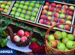 Забег, хоккей и ярмарка: афиша массовых мероприятий Тамбова