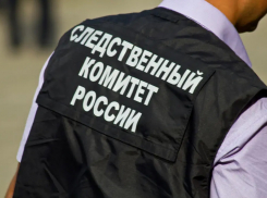 В Тамбовской области приёмных родителей обвиняют в истязании пасынков