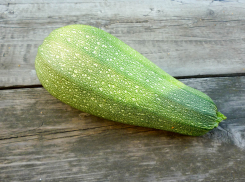 В тамбовской кофейне запустили «кабачок-кроссинг»