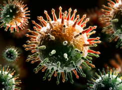 В Тамбовской области за сутки коронавирус выявлен у 88 человек