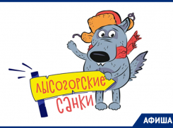 Самые массовые санки возвращаются: куда сходить на неделе в Тамбове