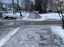 Максим Косенков считает тамбовчан, недовольных качеством содержания городских дорог, «капризными»?