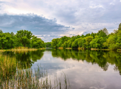 Красная книга Тамбовской области теперь будет носить статус официального документа
