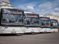 На Пасху в Тамбове будет введен ряд ограничений дорожного движения