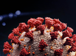 В регионе стали выявлять меньше заболевших COVID-19