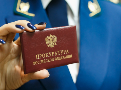 22-летнего тамбовчанина осудят за смертельное ДТП на пешеходном переходе в Строителе