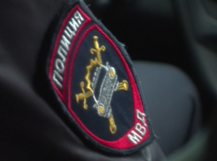 В Дмитриевке мужчина выдавил глаза приятелю, ослеплённому вспышкой