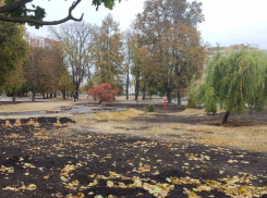 В Тамбове сквер Баратынского не благоустроят в срок