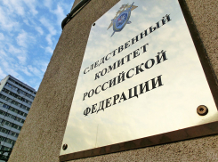 В Котовске мужчину подозревают в регулярном насилии над малолетней дочерью