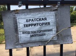 Лес в Тригуляе планируют отдать под застройку