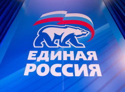 Тамбовским единороссам порекомендовали не совершать заграничные вояжи