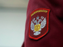 Роспотребнадзор оштрафовал тамбовчан, не сдавших ПЦР-тест после возвращения из отпуска