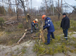 Сотрудники «Тамбовской сетевой компании» восстановили работу электросетей в Луганской Народной Республике